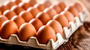 Nigeria's Egg Crisis: Soaring Prices Turn Staple Protein into Luxury
