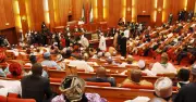 Nigeria's National Assembly Drafts Bill to Legalise Cannabis for Medical and Economic Use