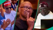 Obi-Kwankwaso Alliance Could Unseat Tinubu in 2027, Analyst Says