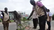 One Million Tree Initiative Targets NIJ, Port Harcourt for World Environment Day