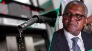 Petrol Marketers Vow to Fight Dangote Refinery Lawsuit Over Import Licenses