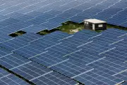 REAN, NEMSA Partner to Boost Renewable Energy Safety Standards in Nigeria