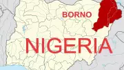 Repentant Boko Haram Terrorists Swear Quran Oath Before Reintegration in Borno