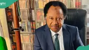 Shehu Sani Stages Political Comeback, Wins APC Kaduna Central Ticket
