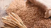 Stakeholders Tackle Wheat Import Dependence and Food Insecurity in Africa