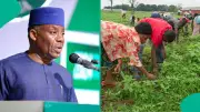 Step-by-Step Guide to Education and Agric Admission Without UTME