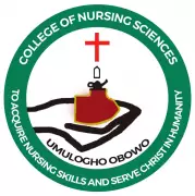 Suspect Arrested After Nursing Student Found Slain in Imo