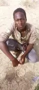 Teenage Terror Suspect Arrested by Troops in Borno State
