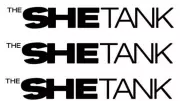 The She Tank Clarifies Exit from MENtality with Ebuka Series