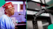 Tinubu: Fuel Subsidy Removal Prevented Nigeria's Bankruptcy, Economy Recovering