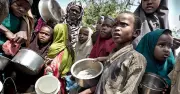 UN warns 35 million Nigerians face acute hunger by June 2026
