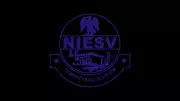 Valuation Could Unlock N500 Trillion for Nigeria, Says NIESV President