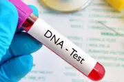 Zimbabwe Court Orders Woman to Refund $2,500 Child Support After DNA Test