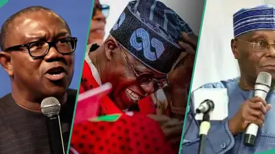 2027: APC Youth Leader Predicts Sweeping Victory for Tinubu