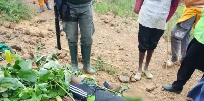 22-Year-Old Man Killed in Plateau Community Attack