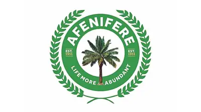 Afenifere Urges Southwest Self-Defence Against Bandit Infiltration
