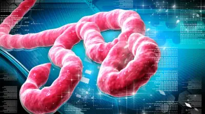 Anambra, Ebonyi, Enugu activate Ebola response mechanisms