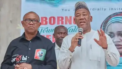 Atiku could have won 2027 if he backed Obi in 2023: Datti Baba-Ahmed