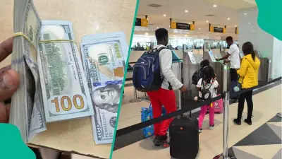 CBN Sets New Cash Travel Limits: $10,000 to $50,000 for Nigerians and Visitors