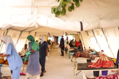 Cholera Outbreak Claims 74 Lives, Over 7,800 Cases Strain Borno Facilities