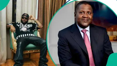 Davido Fires Back at Critic Over Dangote Refinery Investment Announcement