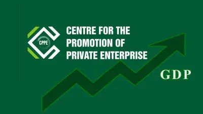 External Shocks Driving Inflation Upswing – CPPE Boss Muda Yusuf