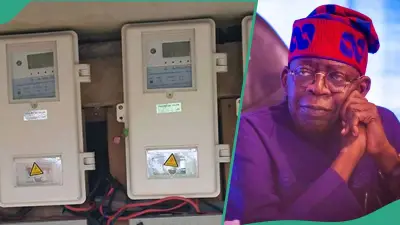 FG to Deploy 7 Million Electricity Meters to End Estimated Billing