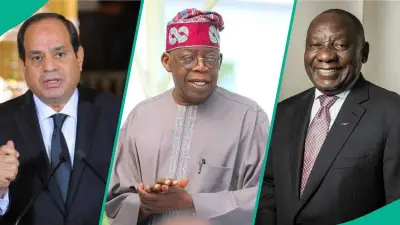 IMF Names Africa's Top 10 Richest Economies for 2026, Nigeria Records Massive GDP Jump