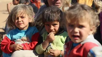 Iran War Ripple Effects Increase Hunger Risks for Millions: WFP Chief