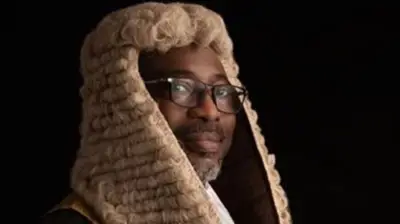 Lagos AG, Coroner Oppose Bid to Halt Inquest into Chimamanda's Son's Death