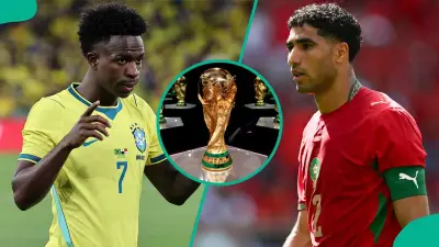 Mysterious Cat Predicts Brazil vs Morocco 2026 World Cup Match Outcome