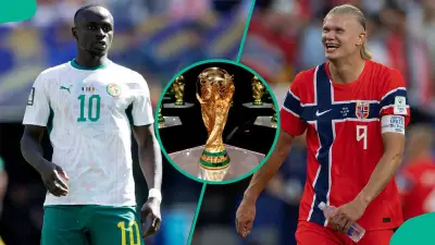 Mysterious Cat Predicts Norway vs Senegal 2026 World Cup Match Outcome
