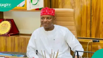 NDC Kano Governorship Candidate Picks Kwankwaso's Son as Running Mate