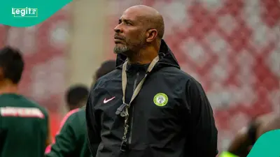 NFF Offers Super Eagles Coach Eric Chelle New $100k Monthly Deal, Nigerians React