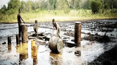Niger Delta Agitators Demand Probe into N257bn Amnesty Funds Diversion