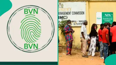 Nigeria NIN BVN Name Date of Birth Change 2026 Guide