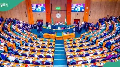 Nigeria Reps Block First-Term Lawmakers from Principal Leadership Roles