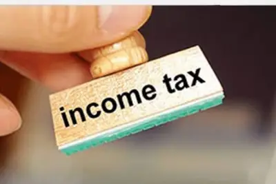 Nigeria's Company Income Tax Revenue Plunges 31.05% in One Year