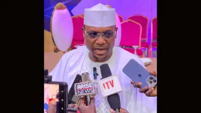 Nigeria's democracy has failed ordinary citizens, says Shina Peller