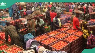 Nigeria's Inflation Rises to 15.93%: 10 Most Expensive States to Live In