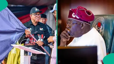 Presidency Knocks Peter Obi Over Ignorance of Nigeria's Power Capacity