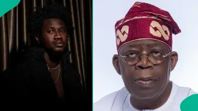 Presidential Aide Accuses Comedian Nasboi of Spreading Fear with Fake Terror Video