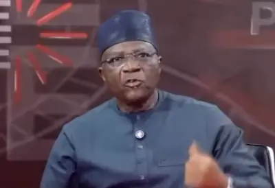 Presidential Aide Bayo Onanuga Questions Hunger Complaints in Nigeria