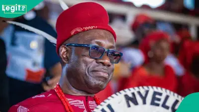 Soludo's Cow-Tail Remark and Politics of Lowered Expectations in Southeast Nigeria