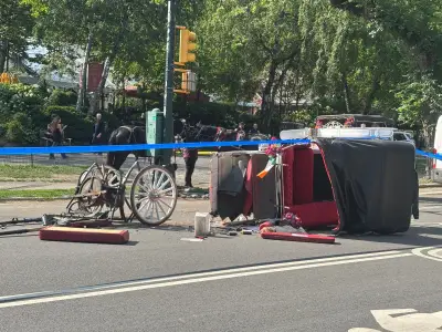 Teen tourist dies in Central Park carriage horse accident
