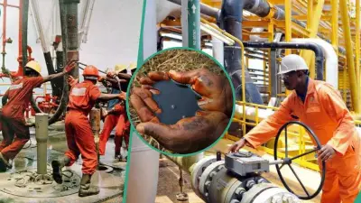 Tinubu Approves 2026 Oil Block Licensing Round to Boost Investment