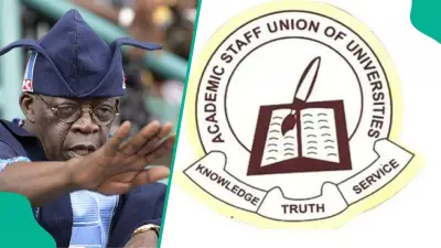 Tinubu's Govt Approves 5 Months' CATA Payment to University Lecturers