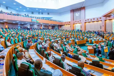 Ugochinyere's Nomination as Reps Minority Leader Sparks Eligibility Debate