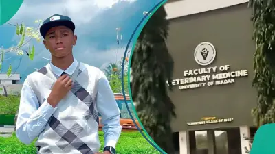 UI Aspirant Misses Medicine Cut-Off, Shares Post-UTME Score and New Course