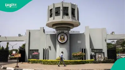 University of Ibadan Promotes 36 Academics, Librarians to Higher Ranks